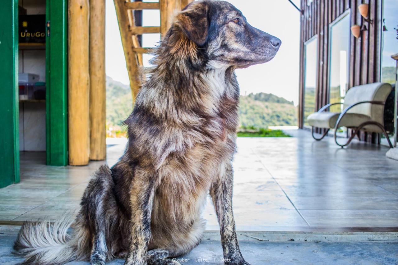 Yahoo Ecolodge Rio Rufino Экстерьер фото